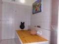 Owls Roost - Turaco - Showerroom